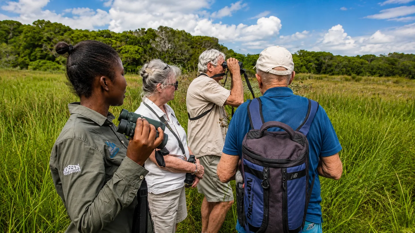 Birdwatchers scanning a sunny wetland with binoculars