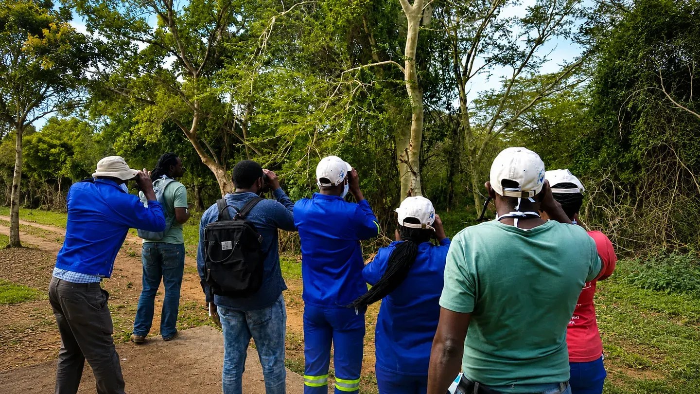 Birdwatchers following a woodland trail